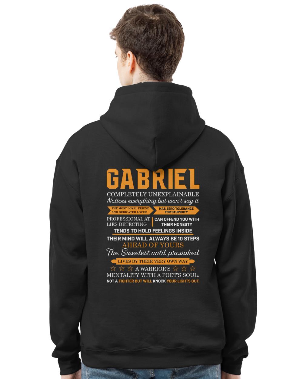 GABRIEL-A3-N1