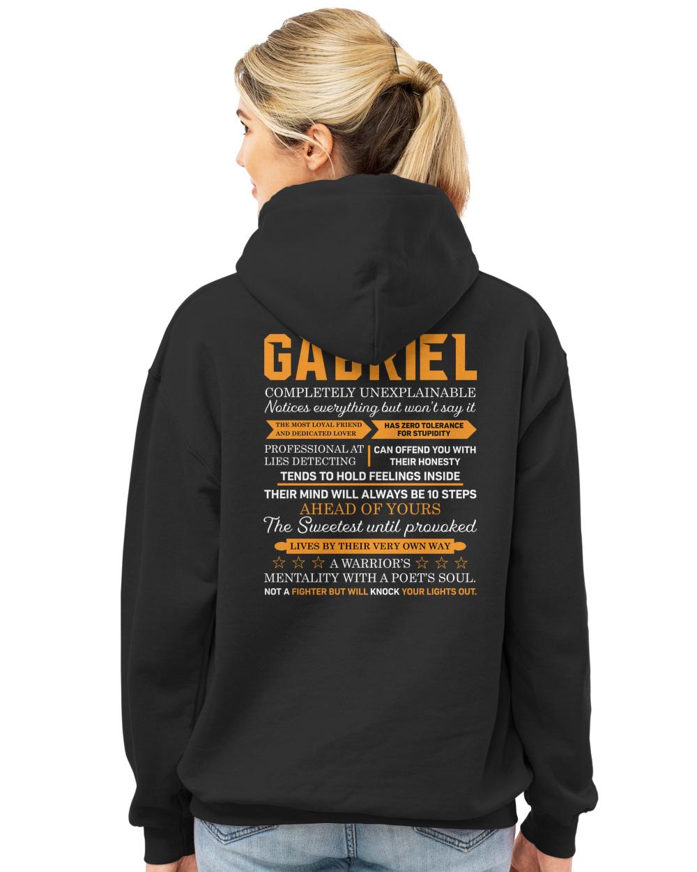 GABRIEL-A3-N1