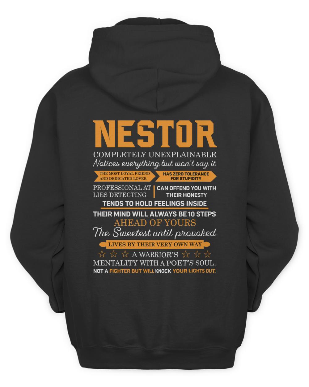 NESTOR-H4-N1