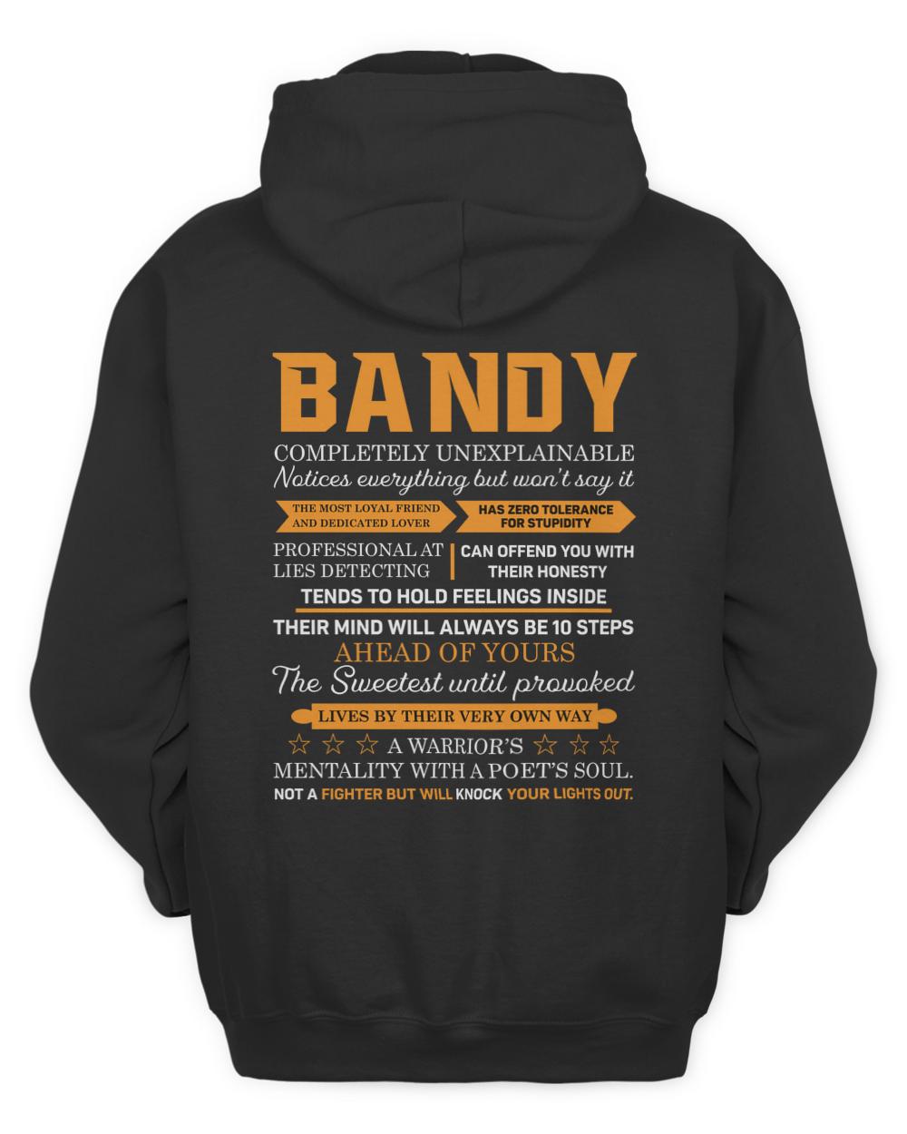 BANDY-A9-N1