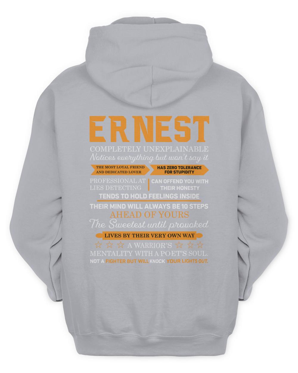 ERNEST-13K-N1-01