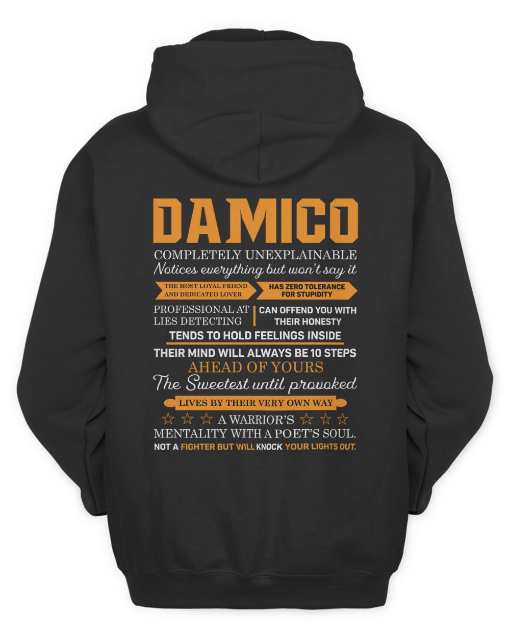 DAMICO-13K-N1-01