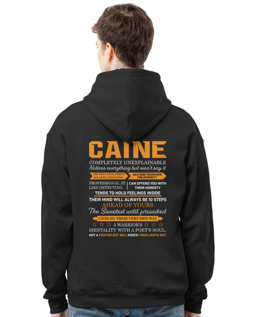 CAINE-13K-N1-01